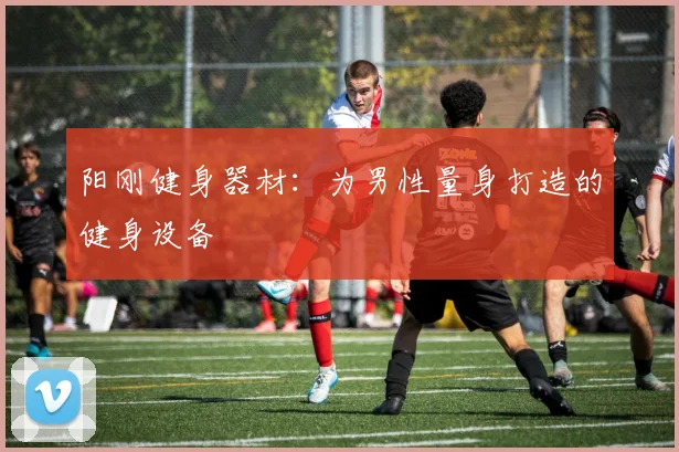 阳刚健身器材：为男性量身打造的健身设备