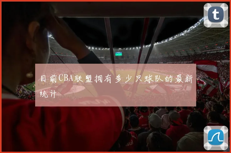 目前CBA联盟拥有多少只球队的最新统计