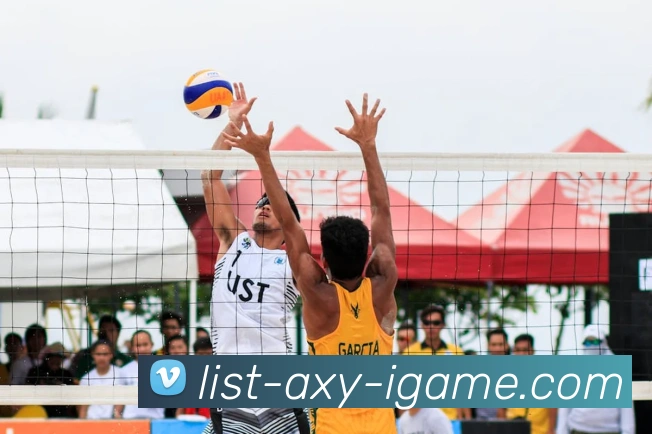 爱游戏APP 封面图